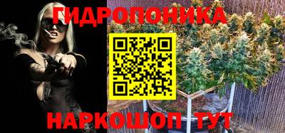 jwh Усть-Джегута