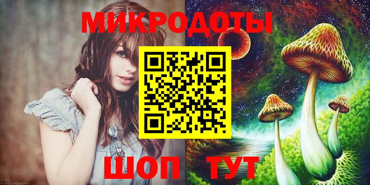 Бийск  Псилоцибиновые грибы Psilocybe  Вход с VPN 